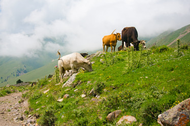 Similar image 11171353