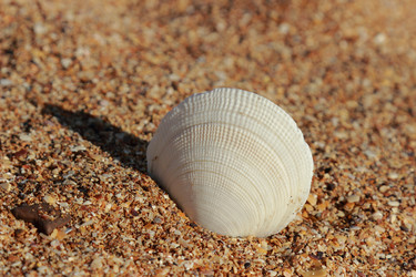 Similar image 11317629