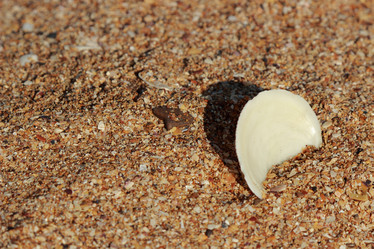 Similar image 11317631