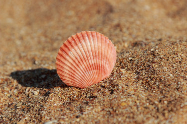 Similar image 11317634