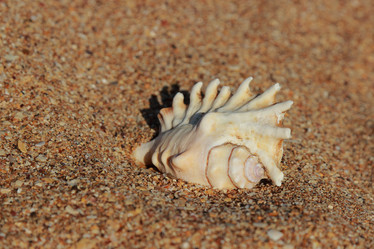 Similar image 11317636