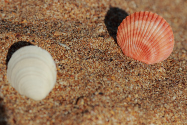 Similar image 11317639