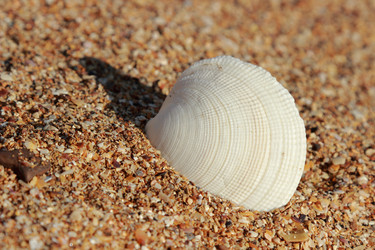 Similar image 11317688