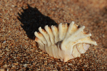 Similar image 11317691