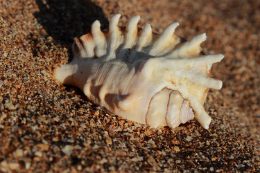 Similar image 11317695