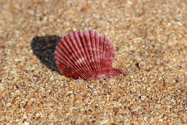 Similar image 11317697