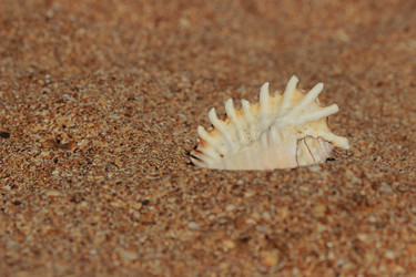 Similar image 11317739