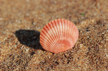 Similar image 11317742