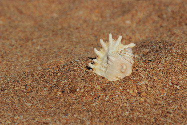 Similar image 11317744