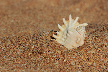 Similar image 11317750