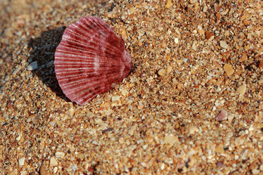 Similar image 11317991