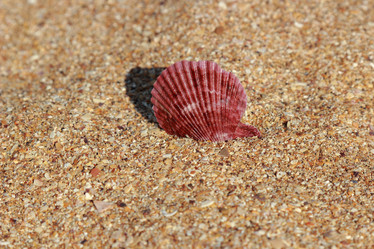 Similar image 11318040