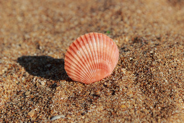 Similar image 11318307