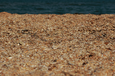 Similar image 11318370