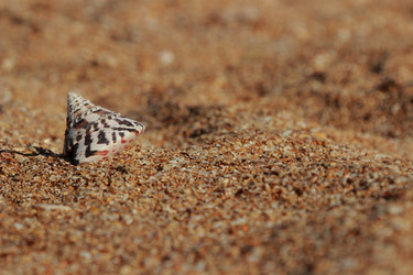 Similar image 11318628