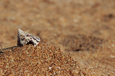 Similar image 11318631