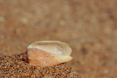 Similar image 11318633