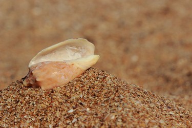 Similar image 11318635