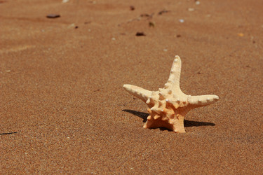 Similar image 11318680