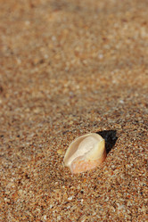 Similar image 11318683