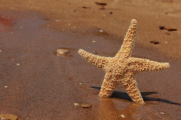 Similar image 11318692