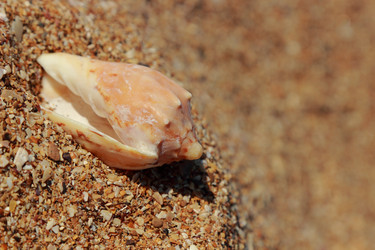 Similar image 11318696