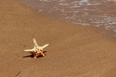 Similar image 11328141