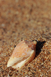 Similar image 11328144