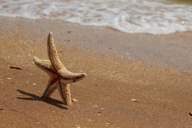 Similar image 11328405