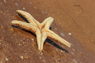 Similar image 11328408