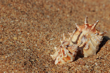 Similar image 11328448