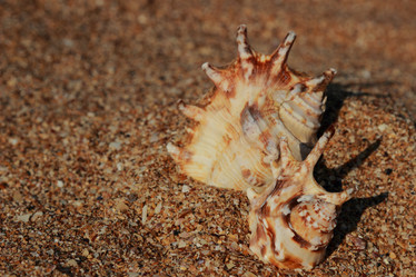 Similar image 11328647