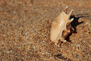 Similar image 11328687