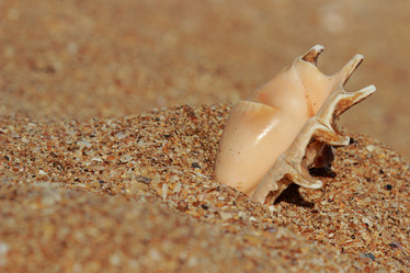 Similar image 11328726