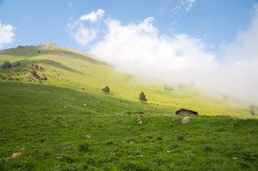 Similar image 11171452