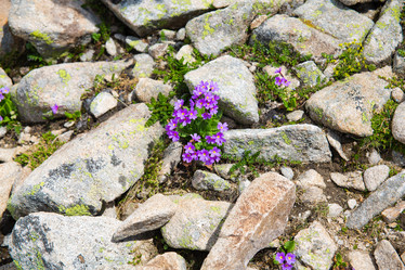 Similar image 11171466