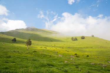 Similar image 11171471