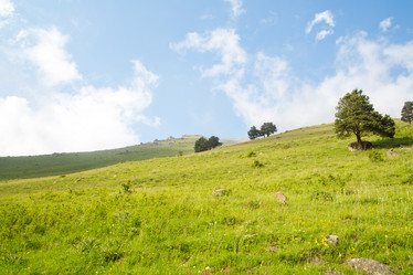 Similar image 11171476