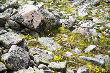 Similar image 11171480