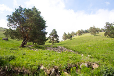 Similar image 11171729