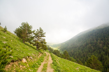 Similar image 11171732