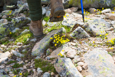 Similar image 11171737