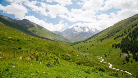 Similar image 11171856