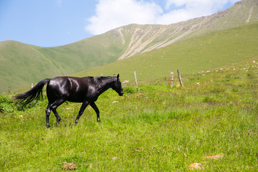 Similar image 11171866