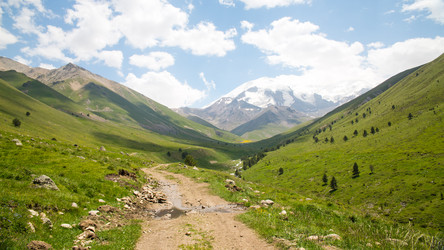 Similar image 11171884