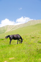 Similar image 11171889