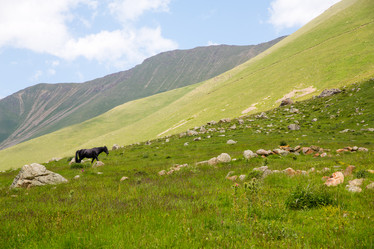 Similar image 11171909