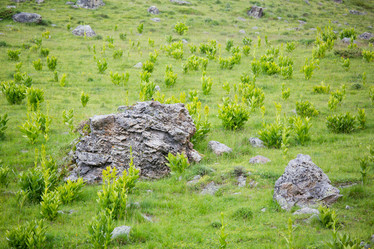 Similar image 11171915