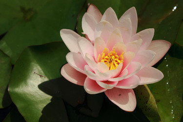 Similar image 11287460