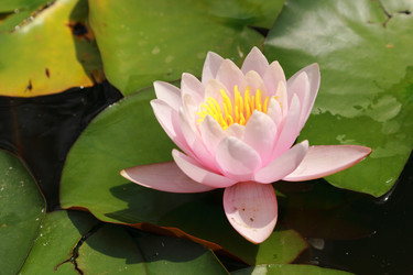 Similar image 11287462